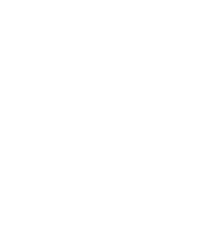 THE MOVEMENT PROJECT